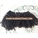 wefted Vietnamese/cambodian curly Hair with competitive price