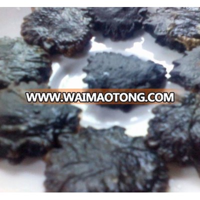 fresh dried Gac fruit seeds/ gac seeds